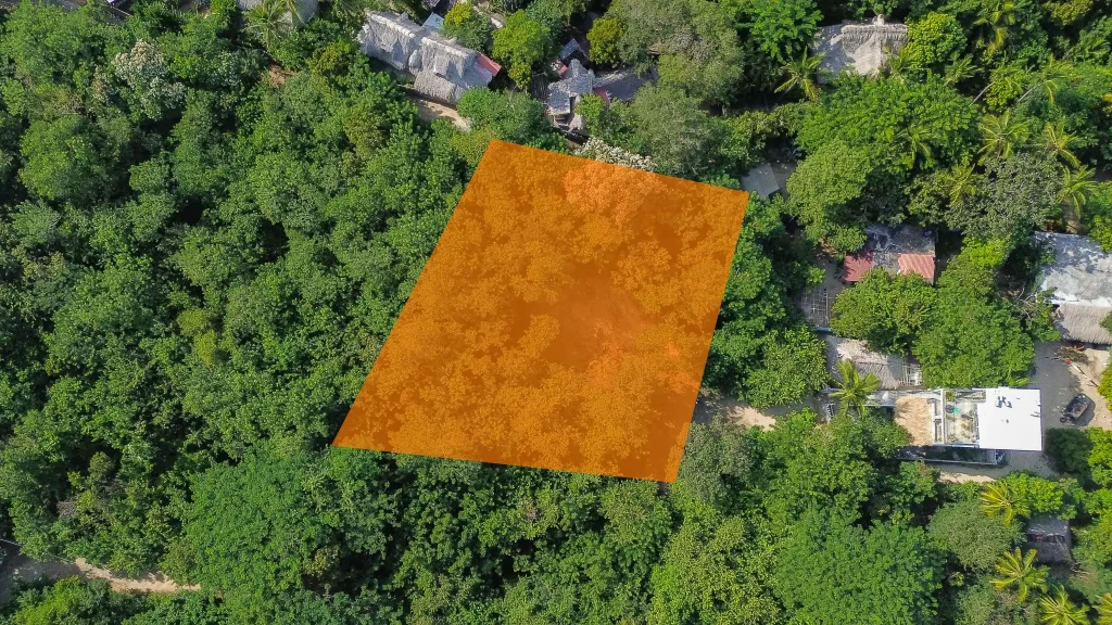 Terreno en Venta en Zipolite a Pocos Metros de la Playa,1,468 m² con Vistas al Mar - 2