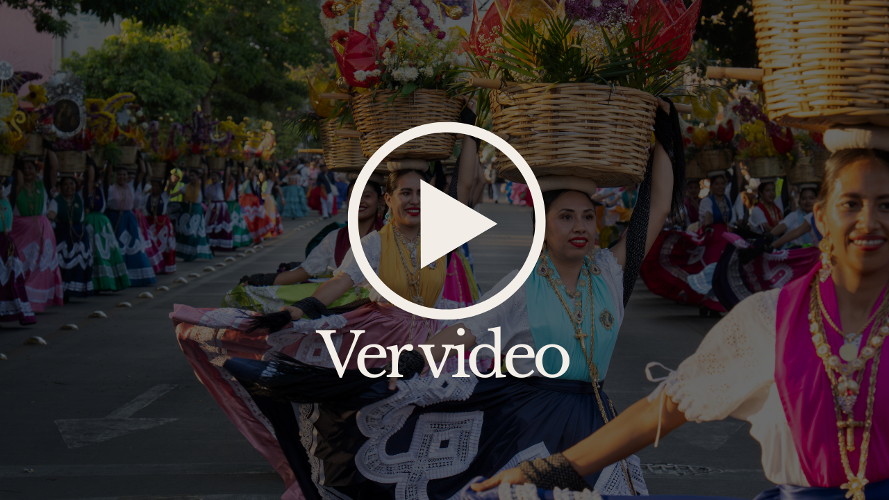 Ver video (1)