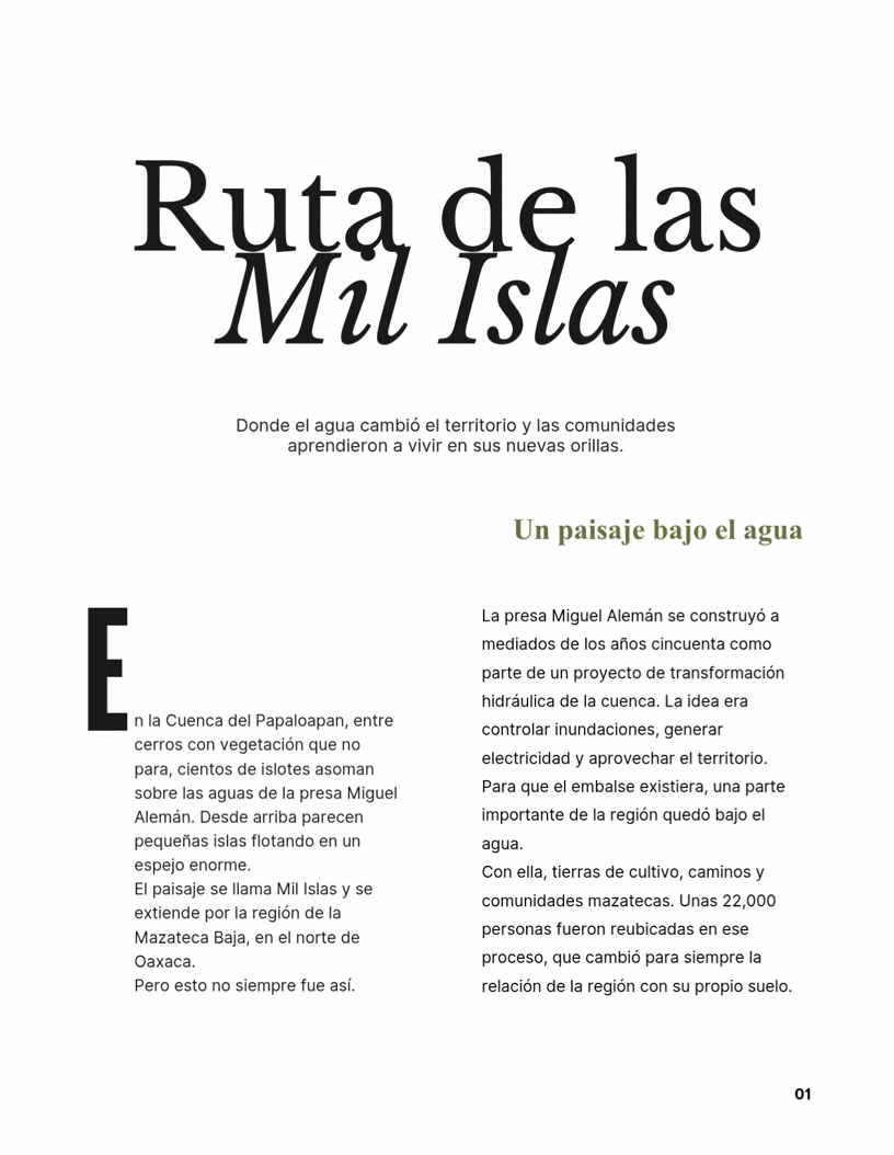 Nahual Real Estate — propiedades en la costa de Oaxaca