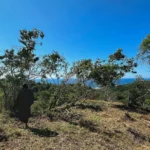 Terrenos con Proyecto Arquitectónico en Zipolite | Vista al Mar - Galería