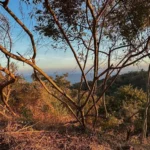 Terrenos con Proyecto Arquitectónico en Zipolite | Vista al Mar - Galería
