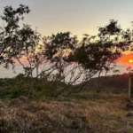 Terrenos con Proyecto Arquitectónico en Zipolite | Vista al Mar - Galería