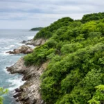 Terreno en Acantilado Playa Violín | Vista al Mar - Galería