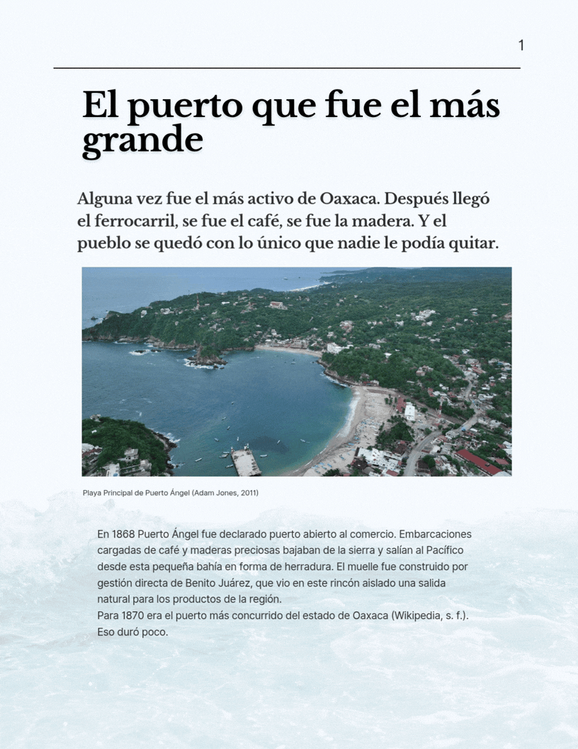 Nahual Real Estate — propiedades en la costa de Oaxaca